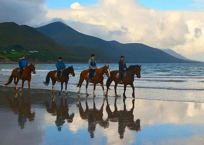 Апартаменты The At O'shea's Киллорглин