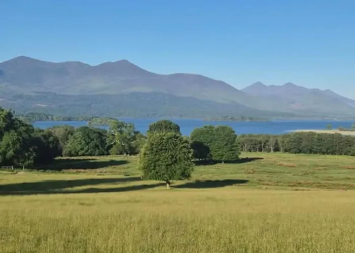 The At O'shea's Апартаменты *