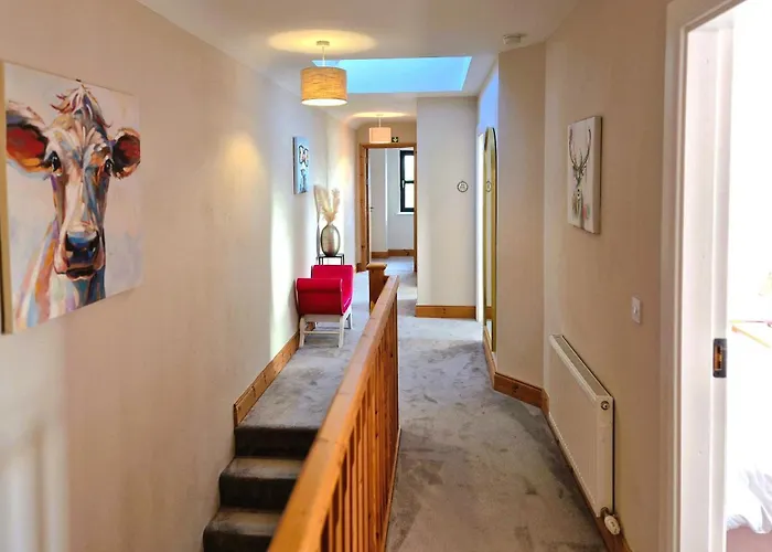 The At O'shea's Киллорглин